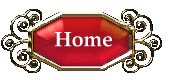 Home Button